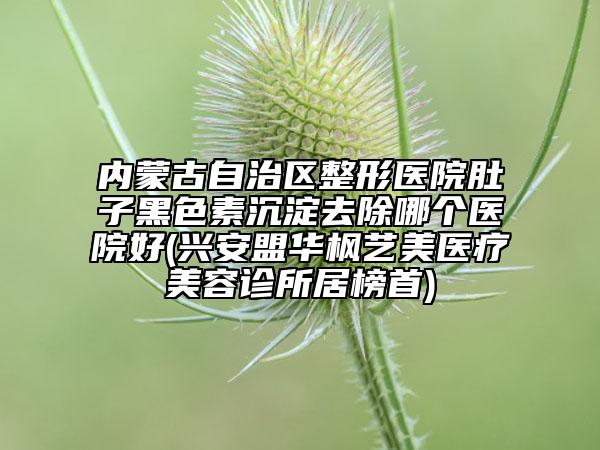 內(nèi)蒙古自治區(qū)整形醫(yī)院肚子黑色素沉淀去除哪個醫(yī)院好(興安盟華楓藝美醫(yī)療美容診所居榜首)