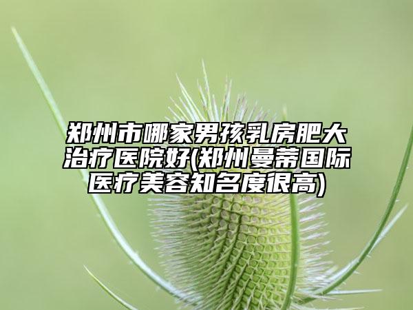 鄭州市哪家男孩乳房肥大治療醫(yī)院好(鄭州曼蒂國際醫(yī)療美容知名度很高)