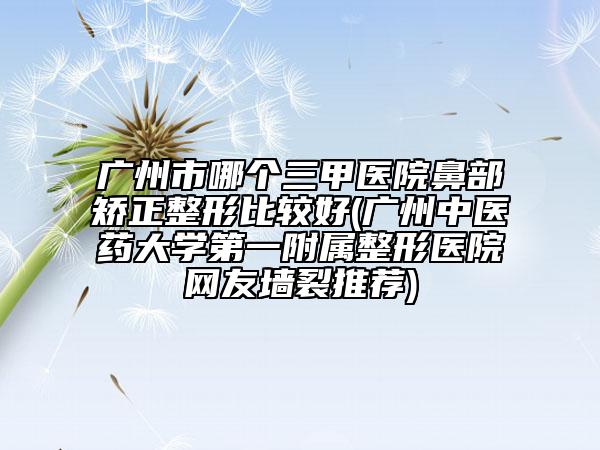 廣州市哪個(gè)三甲醫(yī)院鼻部矯正整形比較好(廣州中醫(yī)藥大學(xué)第一附屬整形醫(yī)院網(wǎng)友墻裂推薦)