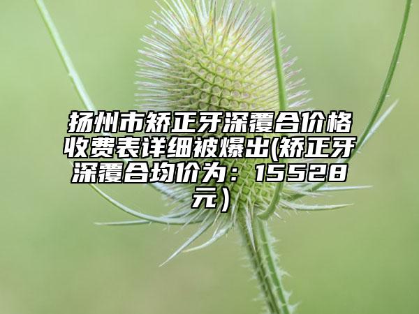 揚(yáng)州市矯正牙深覆合價(jià)格收費(fèi)表詳細(xì)被爆出(矯正牙深覆合均價(jià)為：15528元）