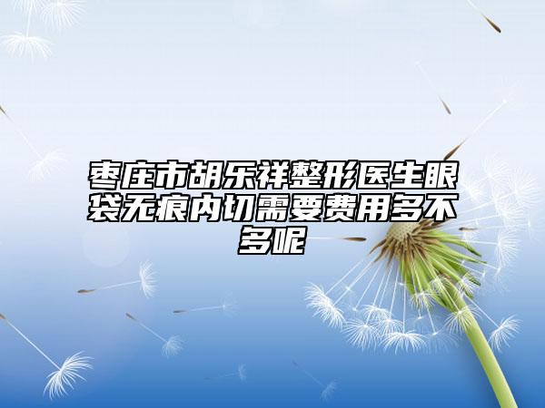 棗莊市胡樂祥整形醫(yī)生眼袋無痕內(nèi)切需要費用多不多呢