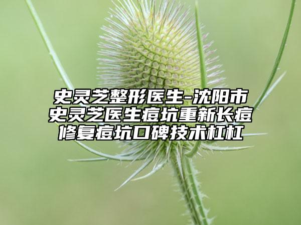 史靈芝整形醫(yī)生-沈陽市史靈芝醫(yī)生痘坑重新長痘修復痘坑口碑技術杠杠