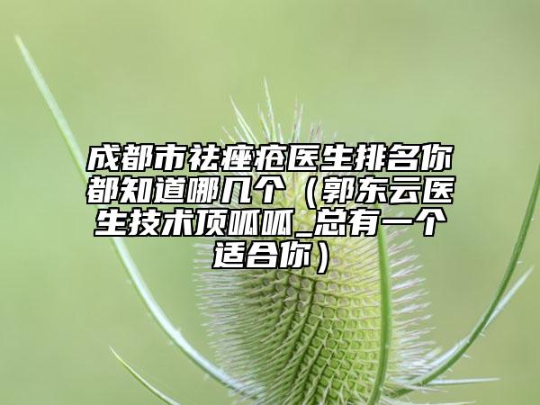 成都市祛痤瘡醫(yī)生排名你都知道哪幾個（郭東云醫(yī)生技術(shù)頂呱呱_總有一個適合你）
