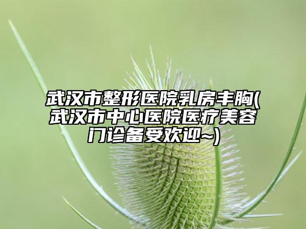 武漢市整形醫(yī)院乳房豐胸(武漢市中心醫(yī)院醫(yī)療美容門診備受歡迎~)