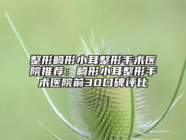 整形畸形小耳整形手術(shù)醫(yī)院推薦：畸形小耳整形手術(shù)醫(yī)院前30口碑評(píng)比