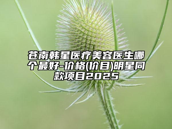 蒼南韓星醫(yī)療美容醫(yī)生哪個最好-價格(價目)明星同款項目2025