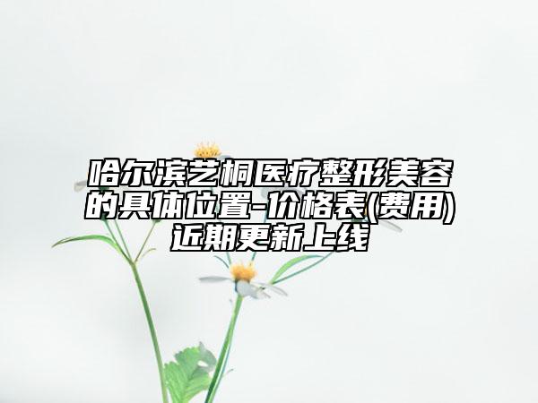 哈爾濱藝桐醫(yī)療整形美容的具體位置-價(jià)格表(費(fèi)用)近期更新上線