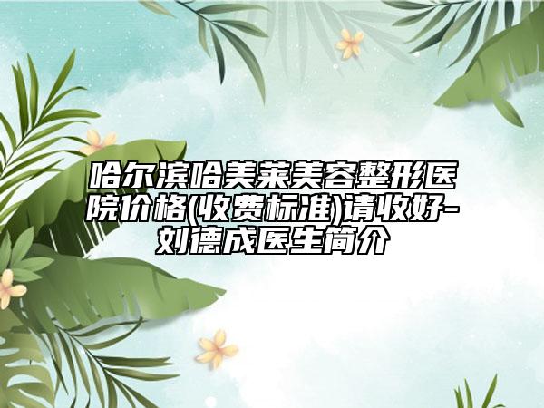 哈爾濱哈美萊美容整形醫(yī)院價(jià)格(收費(fèi)標(biāo)準(zhǔn))請(qǐng)收好-劉德成醫(yī)生簡(jiǎn)介