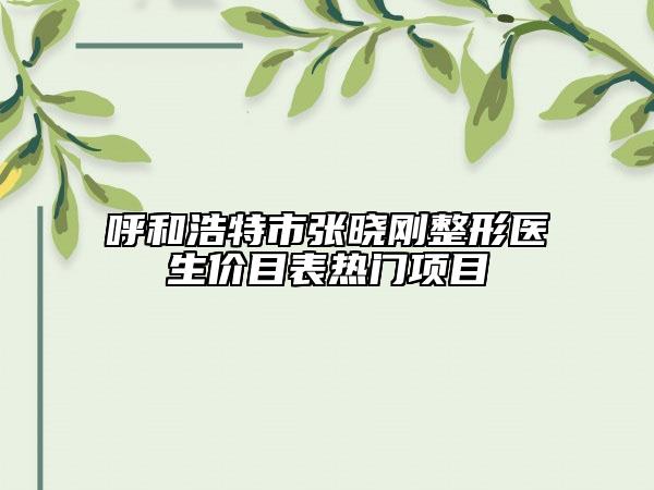 呼和浩特市張曉剛整形醫(yī)生價(jià)目表熱門項(xiàng)目