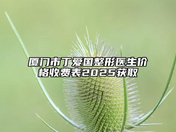 廈門市丁愛(ài)國(guó)整形醫(yī)生價(jià)格收費(fèi)表2025獲取