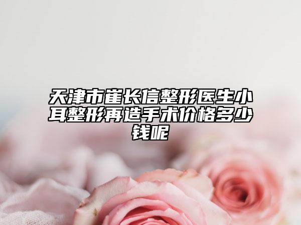 天津市崔長信整形醫(yī)生小耳整形再造手術價格多少錢呢