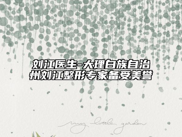 劉江醫(yī)生-大理白族自治州劉江整形專家備受美譽