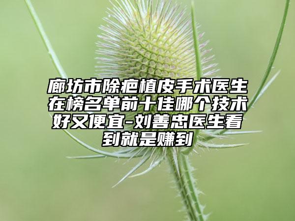 廊坊市除疤植皮手術(shù)醫(yī)生在榜名單前十佳哪個技術(shù)好又便宜-劉善忠醫(yī)生看到就是賺到