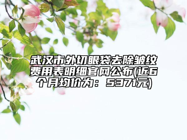 武漢市外切眼袋去除皺紋費(fèi)用表明細(xì)官網(wǎng)公布(近6個月均價為：5371元)