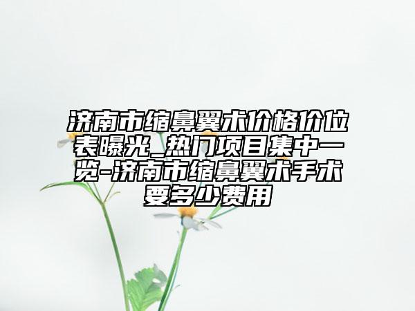 濟(jì)南市縮鼻翼術(shù)價(jià)格價(jià)位表曝光_熱門項(xiàng)目集中一覽-濟(jì)南市縮鼻翼術(shù)手術(shù)要多少費(fèi)用