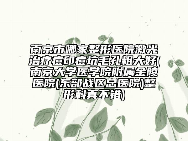 南京市哪家整形醫(yī)院激光治療痘印痘坑毛孔粗大好(南京大學醫(yī)學院附屬金陵醫(yī)院(東部戰(zhàn)區(qū)總醫(yī)院)整形科真不錯)