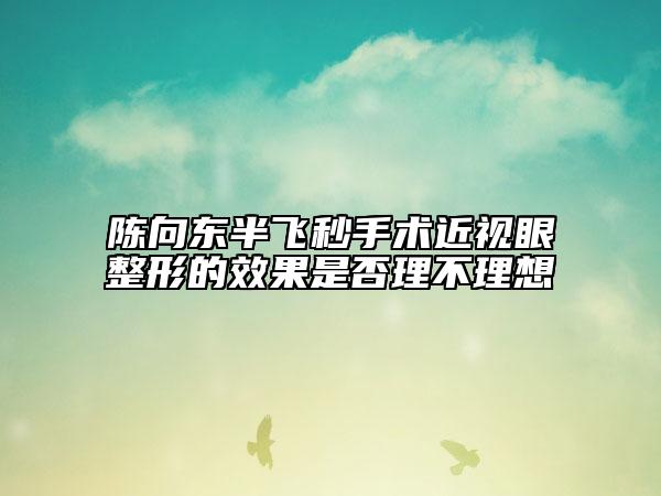 陳向東半飛秒手術(shù)近視眼整形的效果是否理不理想