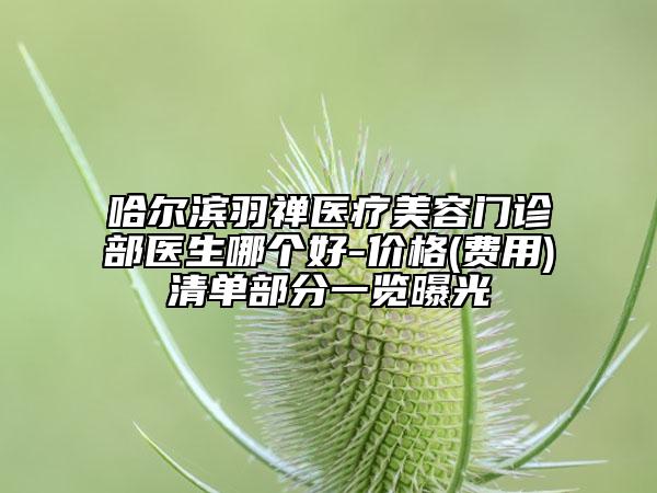 哈爾濱羽禪醫(yī)療美容門診部醫(yī)生哪個(gè)好-價(jià)格(費(fèi)用)清單部分一覽曝光