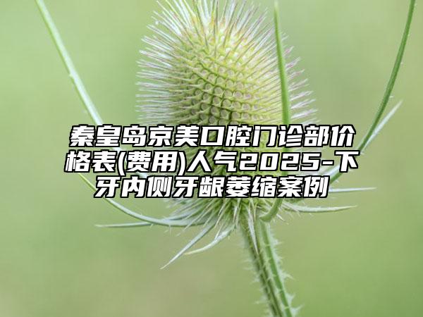 秦皇島京美口腔門診部價(jià)格表(費(fèi)用)人氣2025-下牙內(nèi)側(cè)牙齦萎縮案例