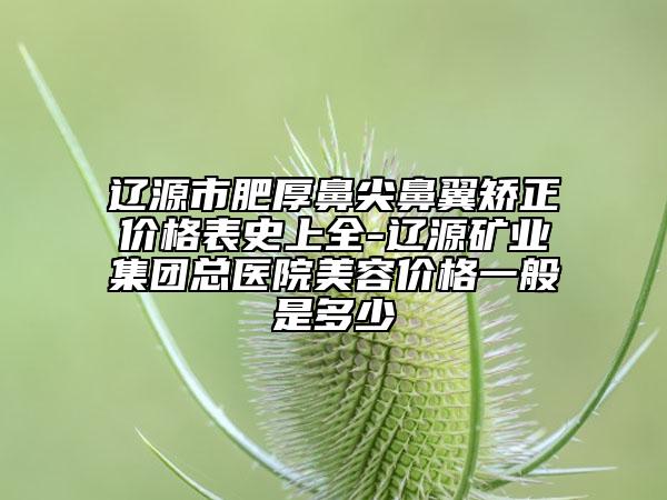 遼源市肥厚鼻尖鼻翼矯正價格表史上全-遼源礦業(yè)集團總醫(yī)院美容價格一般是多少