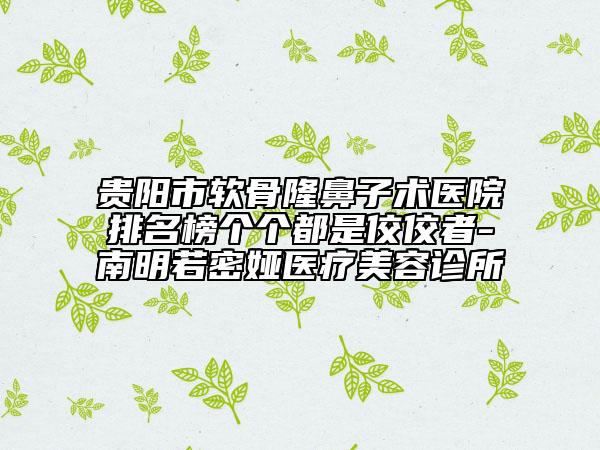 貴陽(yáng)市軟骨隆鼻子術(shù)醫(yī)院排名榜個(gè)個(gè)都是佼佼者-南明若密婭醫(yī)療美容診所
