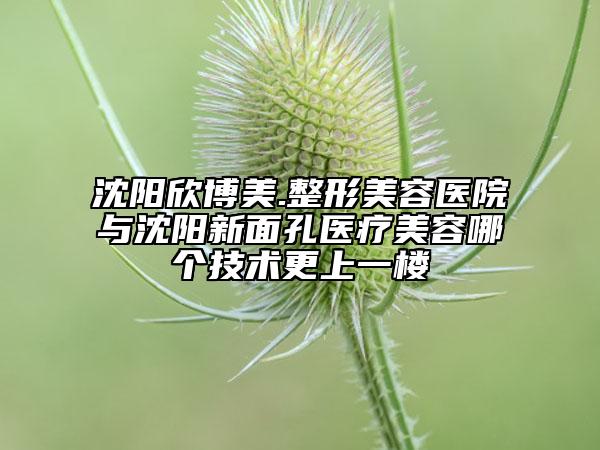 沈陽欣博美.整形美容醫(yī)院與沈陽新面孔醫(yī)療美容哪個技術更上一樓