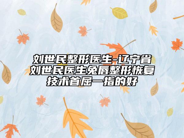 劉世民整形醫(yī)生-遼寧省劉世民醫(yī)生兔唇整形恢復(fù)技術(shù)首屈一指的好