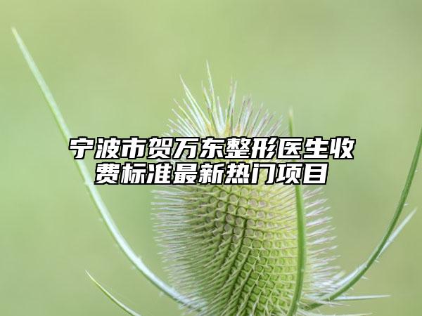 寧波市賀萬東整形醫(yī)生收費標準最新熱門項目