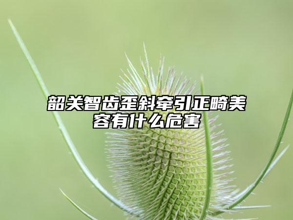 韶關智齒歪斜牽引正畸美容有什么危害