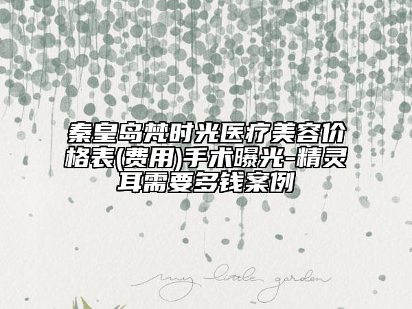 秦皇島梵時光醫(yī)療美容價格表(費用)手術(shù)曝光-精靈耳需要多錢案例