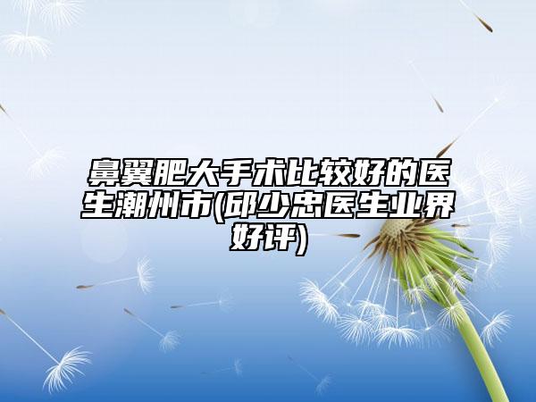 鼻翼肥大手術(shù)比較好的醫(yī)生潮州市(邱少忠醫(yī)生業(yè)界好評(píng))