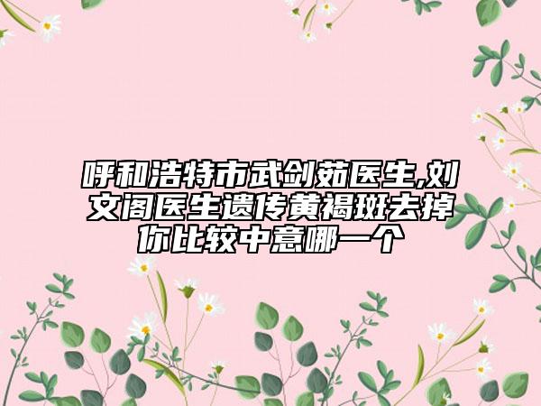呼和浩特市武劍茹醫(yī)生,劉文閣醫(yī)生遺傳黃褐斑去掉你比較中意哪一個(gè)