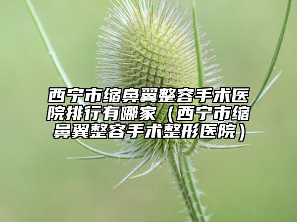 西寧市縮鼻翼整容手術(shù)醫(yī)院排行有哪家（西寧市縮鼻翼整容手術(shù)整形醫(yī)院）