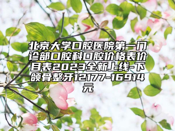 北京大學(xué)口腔醫(yī)院第一門診部口腔科口腔價格表價目表2023全新上線-下頜骨整牙12177-16914元