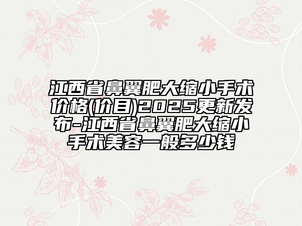 江西省鼻翼肥大縮小手術(shù)價(jià)格(價(jià)目)2025更新發(fā)布-江西省鼻翼肥大縮小手術(shù)美容一般多少錢