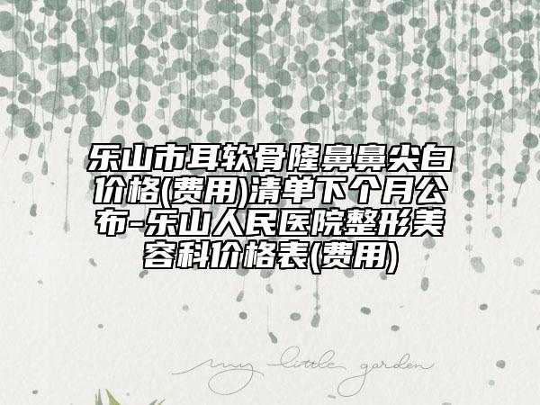 樂(lè)山市耳軟骨隆鼻鼻尖白價(jià)格(費(fèi)用)清單下個(gè)月公布-樂(lè)山人民醫(yī)院整形美容科價(jià)格表(費(fèi)用)