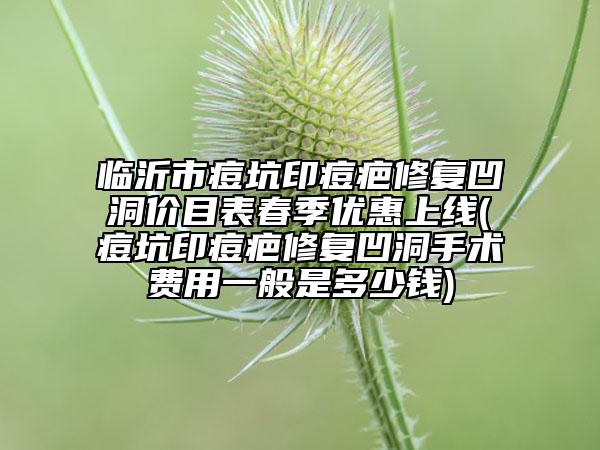 臨沂市痘坑印痘疤修復凹洞價目表春季優(yōu)惠上線(痘坑印痘疤修復凹洞手術(shù)費用一般是多少錢)