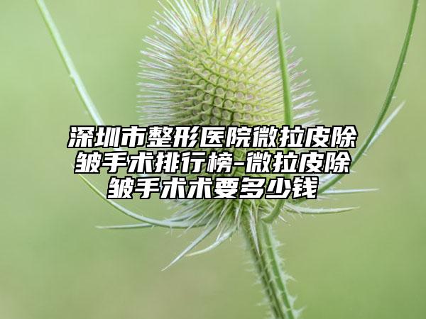深圳市整形醫(yī)院微拉皮除皺手術(shù)排行榜-微拉皮除皺手術(shù)術(shù)要多少錢