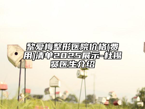 黎愛梅整形醫(yī)院價格(費用)清單2025展示-杜錫賢醫(yī)生介紹