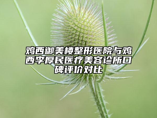 雞西御美樓整形醫(yī)院與雞西李厚民醫(yī)療美容診所口碑評(píng)價(jià)對(duì)比