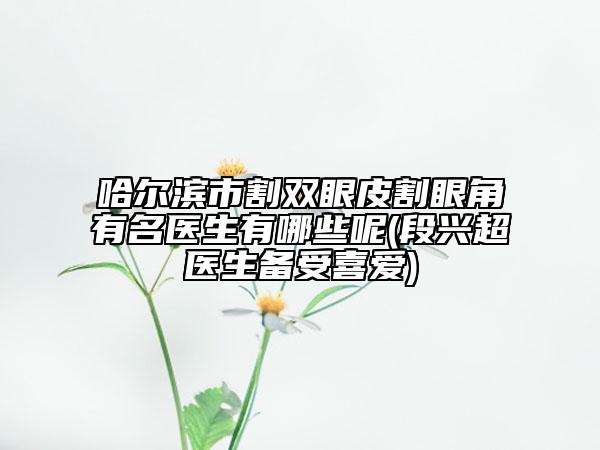 哈爾濱市割雙眼皮割眼角有名醫(yī)生有哪些呢(段興超醫(yī)生備受喜愛)