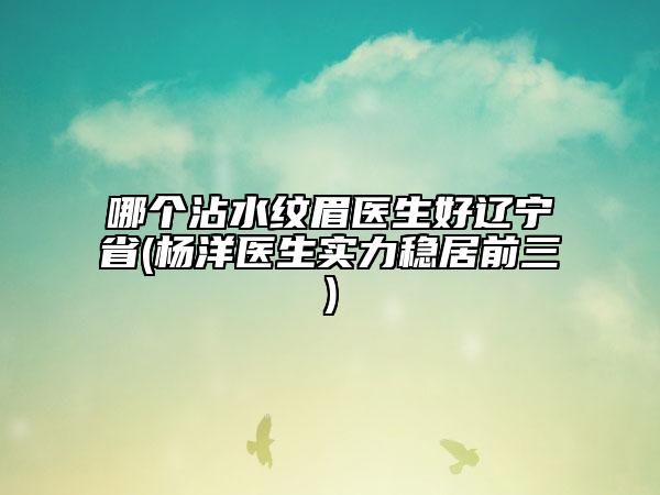 哪個沾水紋眉醫(yī)生好遼寧省(楊洋醫(yī)生實力穩(wěn)居前三)