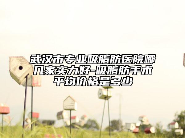 武漢市專業(yè)吸脂肪醫(yī)院哪幾家實(shí)力好-吸脂肪手術(shù)平均價(jià)格是多少