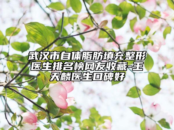 武漢市自體脂肪填充整形醫(yī)生排名榜網(wǎng)友收藏-王天麟醫(yī)生口碑好