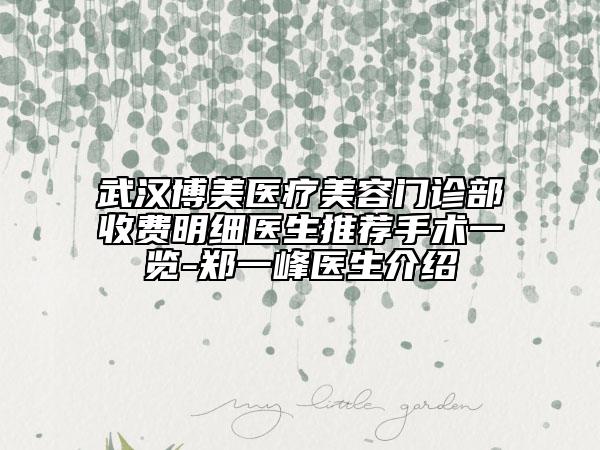 武漢博美醫(yī)療美容門診部收費明細醫(yī)生推薦手術一覽-鄭一峰醫(yī)生介紹