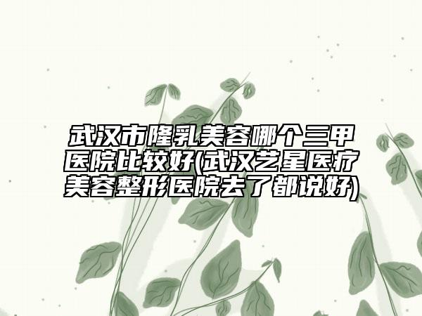 武漢市隆乳美容哪個(gè)三甲醫(yī)院比較好(武漢藝星醫(yī)療美容整形醫(yī)院去了都說(shuō)好)