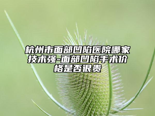 杭州市面部凹陷醫(yī)院哪家技術(shù)強-面部凹陷手術(shù)價格是否很貴