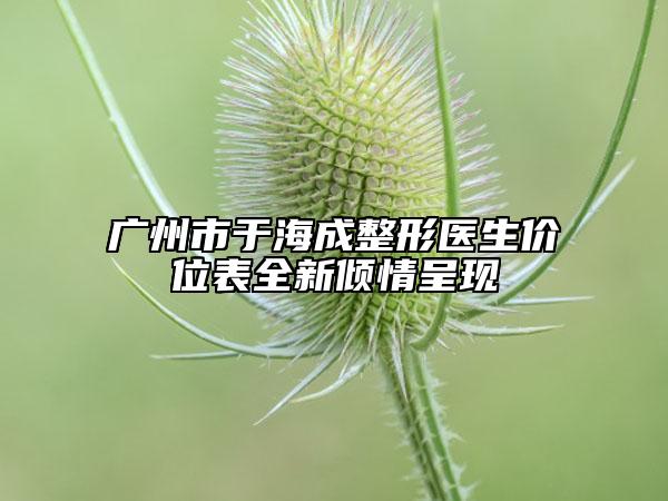 廣州市于海成整形醫(yī)生價(jià)位表全新傾情呈現(xiàn)