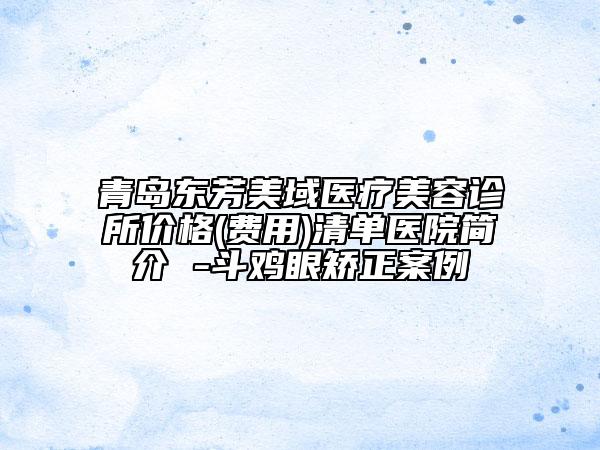 青島東芳美域醫(yī)療美容診所價(jià)格(費(fèi)用)清單醫(yī)院簡(jiǎn)介 -斗雞眼矯正案例