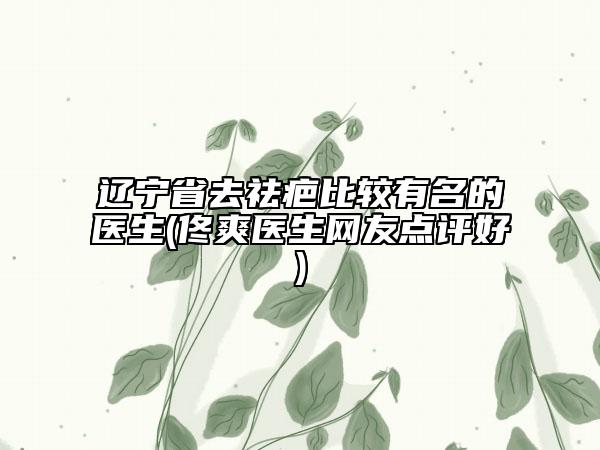 遼寧省去祛疤比較有名的醫(yī)生(佟爽醫(yī)生網(wǎng)友點評好)